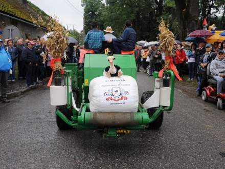 Dożynki Gminne w Drogomyślu 2017